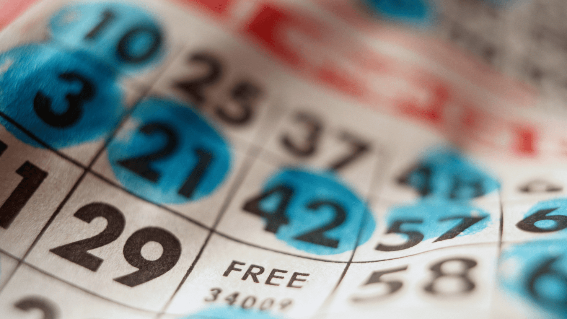 Viss par tiešsaistes bingo kartēm un zvaniem image